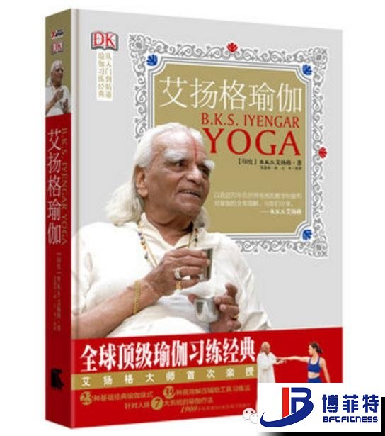 艾扬格瑜伽：精准习练指南